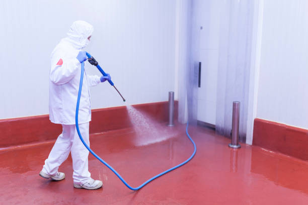 Reliable Fort Lewis, WA Pressure Washing Solutions
